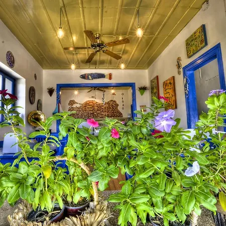 فندق Cunda Mavi (adults Only)
